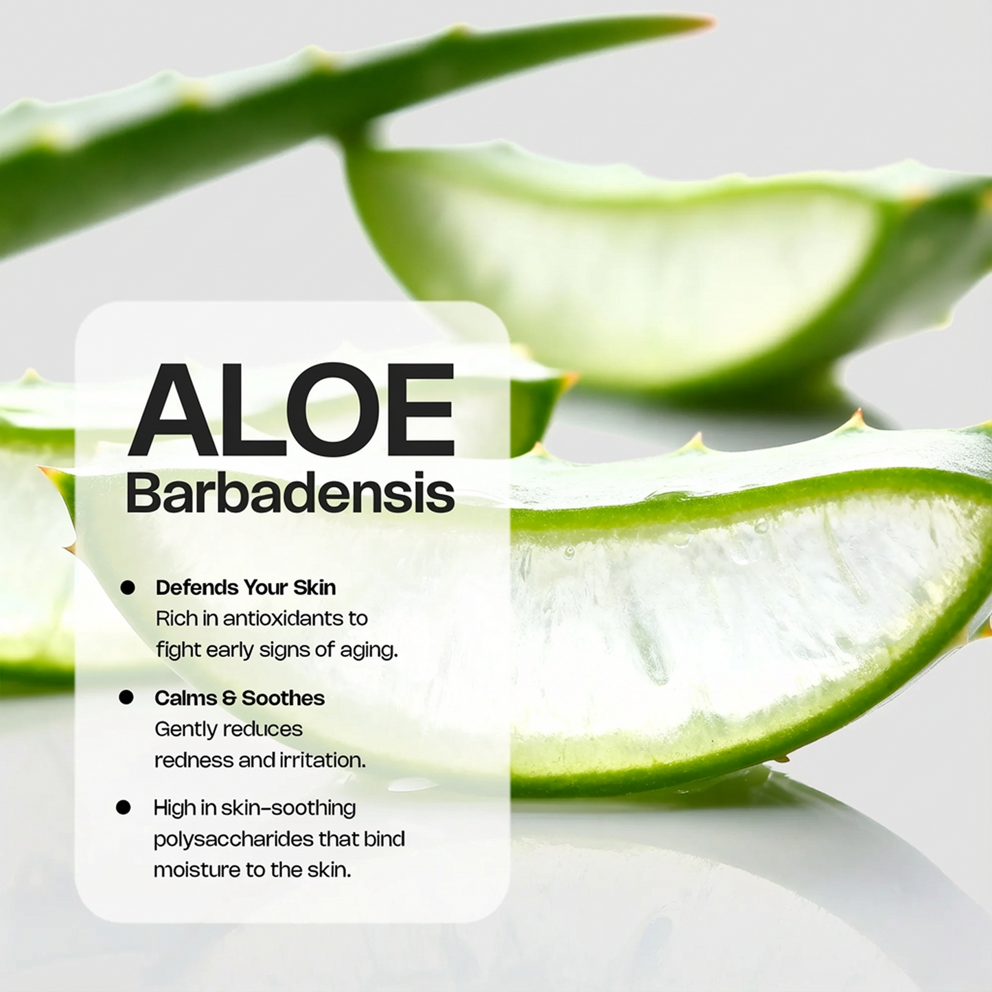 Peptide Hydration Serum