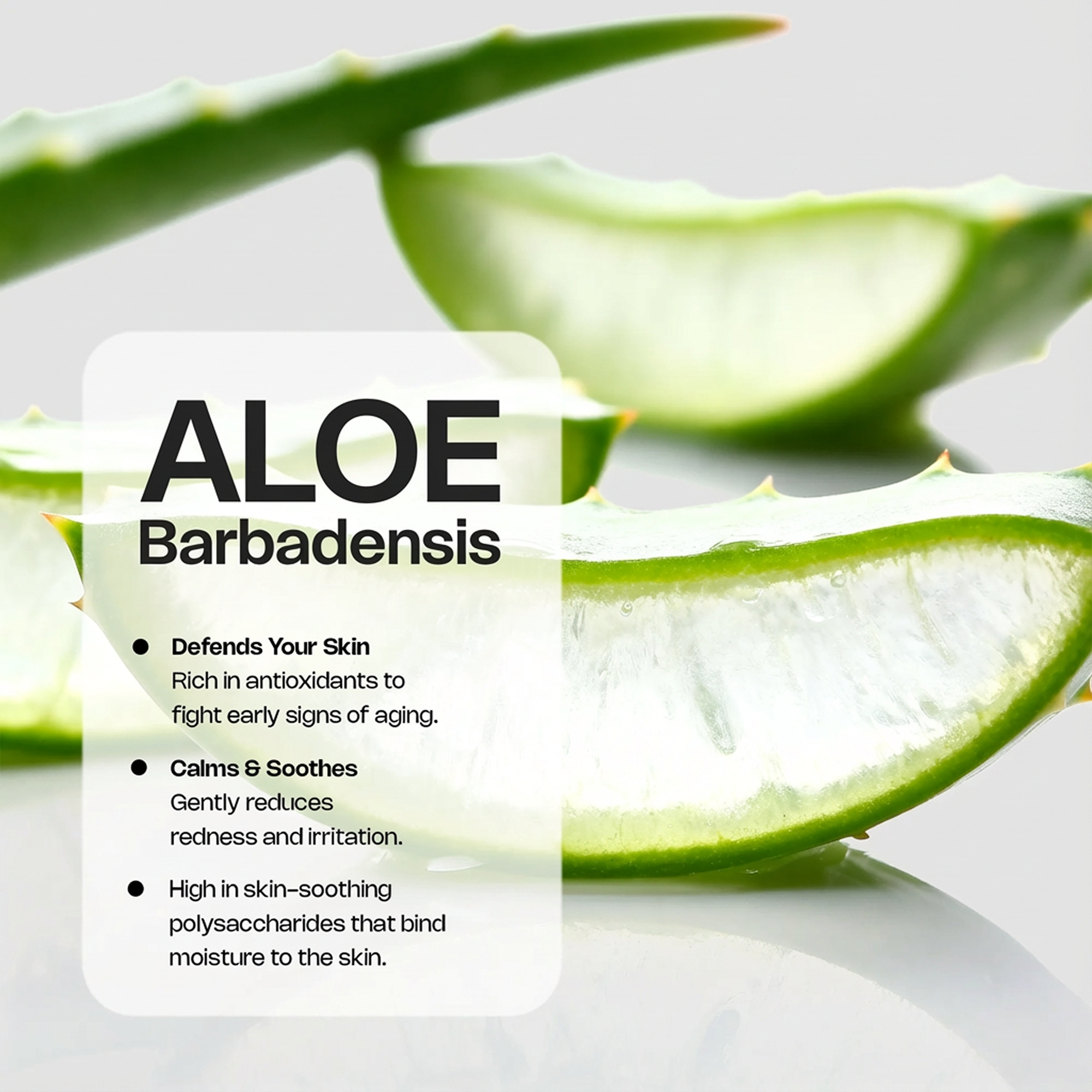 Peptide Hydration Serum