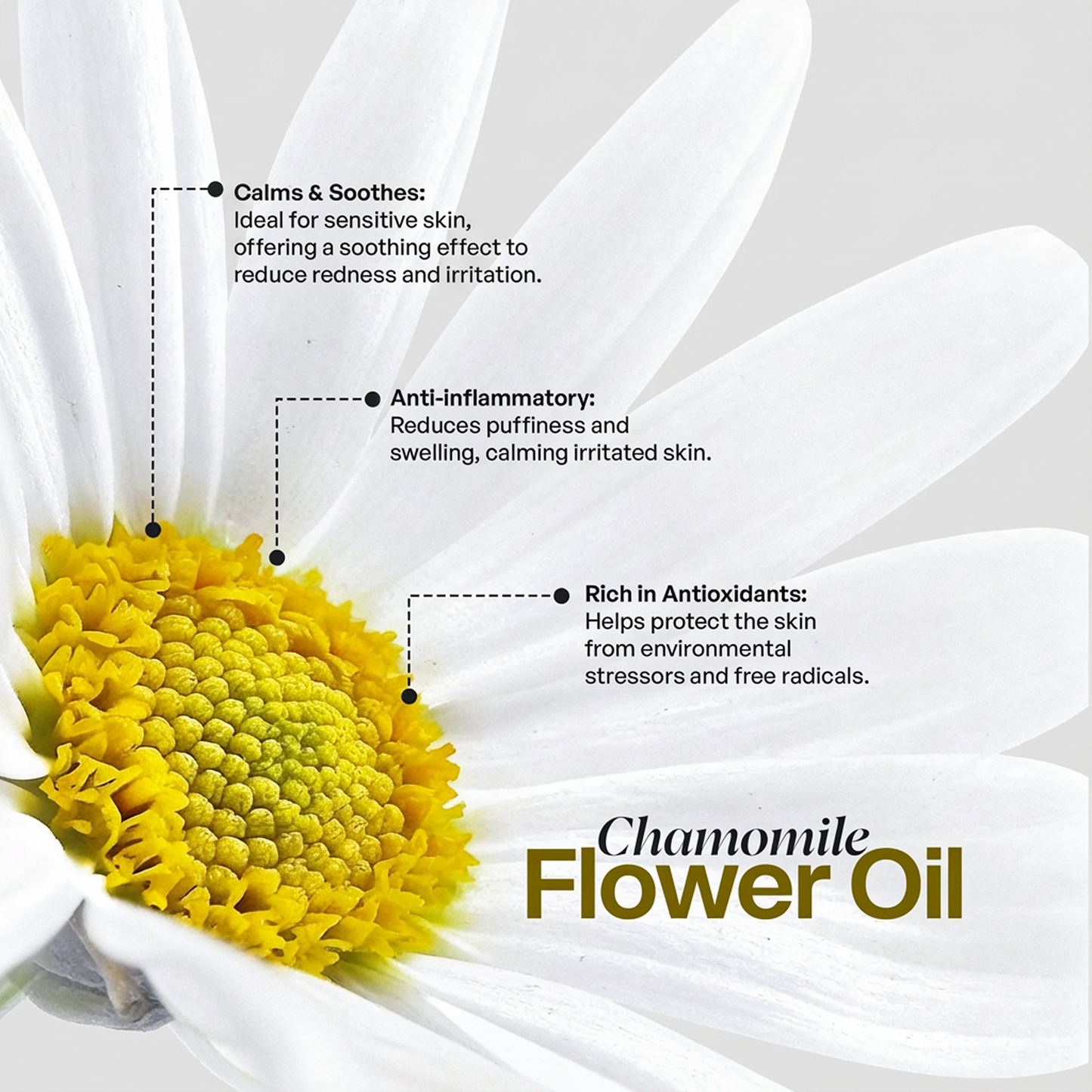 Manuka Honey Chamomile Tallow Body Balm